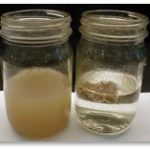 Jar test results for turkey processing plant using the GEM System to treat industrial wastewater